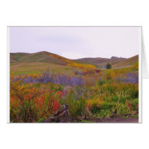 Mountian Colours Greeting Cards