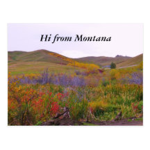 Mountian Colours, Hi from Montana Postcards