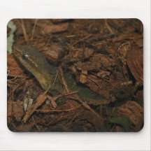 Mourning Gecko Mousemat