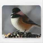 Mouse Pad - Chickadee