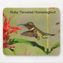 Mouse Pad/ Ruby throated hummingbird