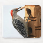 Mouse pad - woodpecker