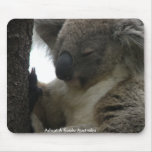 Mousepad Adopt A Koala Australia