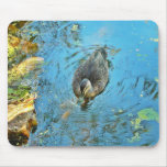 Mousepad Blue Pond Duck