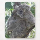 Mousepad Koala And Babies Australia Photo