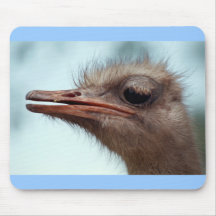 Mousepad, Ostrich