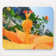 Mousepad-Rose Mallow