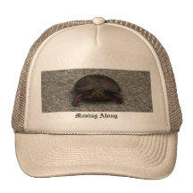 Moving Along Mesh Hat