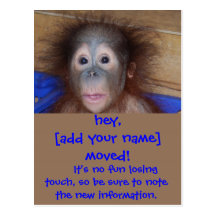 Moving Announcements Cute Face Postcard