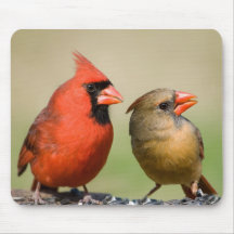 Mr. and Mrs. Northern Cardinal Mousepad