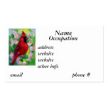Mr. Cardinal aceo Business Card