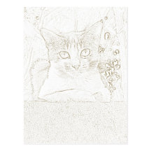 Mr. Cat Postcard 004