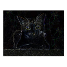 Mr. Cat Postcard 007