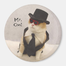 Mr. Cool Fridge Magnet