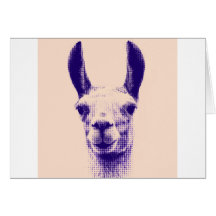 Mr Llama Greeting Card
