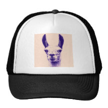 Mr Llama Hat