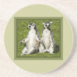 Mr & Mrs Lemur Coasters