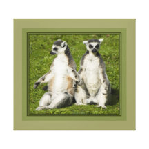 Mr & Mrs Lemur Gallery Wrap Canvas