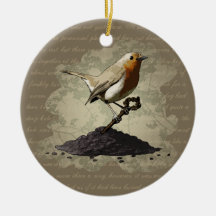 Mr. Robin Finds the Key, ornament