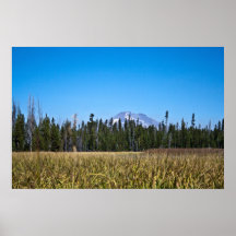 Mt Bachelor & Marshlands Poster