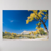 Mt. Garfield Poster
