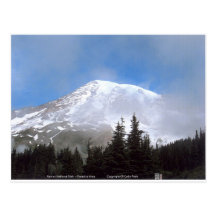 Mt Rainier National Park Snow Scenic Photography Postcard