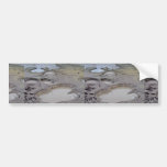 Mud holes, mud volcano bumper stickers