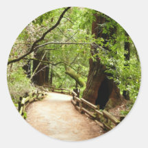 Muir Woods Path II Sticker