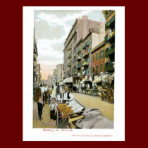 Mulberry St., New York City postcards