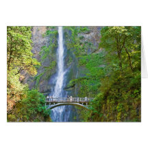 Multnomah Falls Cards