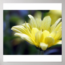 Mum Posters
