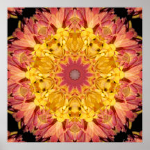 Mum Star Jan 2013 Print