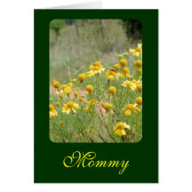 Mummy Card