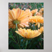 Mums from Behind Posters