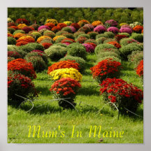 Mum's In Maine Posters