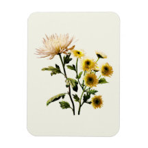 Mums Medley Rectangle Magnet
