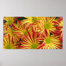 Mums-Poster