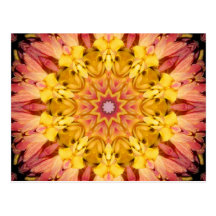 Mums the mum Jan 2013 Post Card