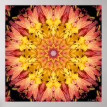 Mums the mum Jan 2013 Posters