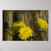 Mums with Stump Print
