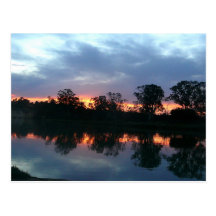 Murray River Sunset Postcard