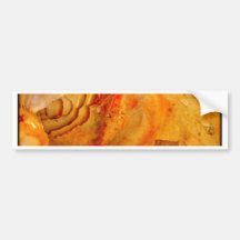Muschel Bumper Sticker