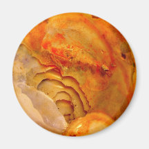 Muschel Magnets