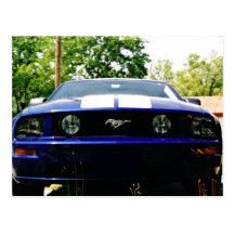 Muscle car- Shelby blue Postcard