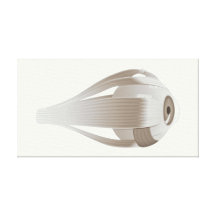 Muscles of the eye Stretched Canvas Print