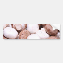 Mushroom background bumper stickers