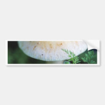 Mushroom Bumper Sticker