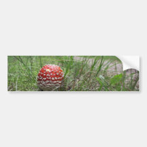 Mushroom In The Grass Bumper Stickers