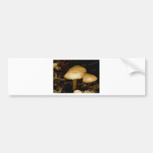 Mushroom Morning Bumper Stickers