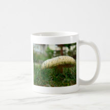 Mushroom Mugs